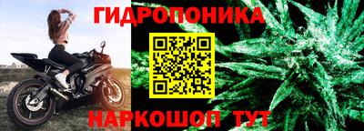 индика Мариинск