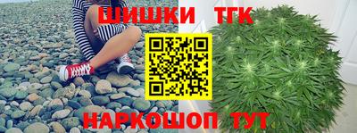 индика Мариинск
