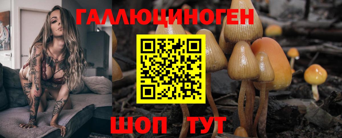Шебекино  Галлюциногенные грибы прущие грибы  Вход с VPN 